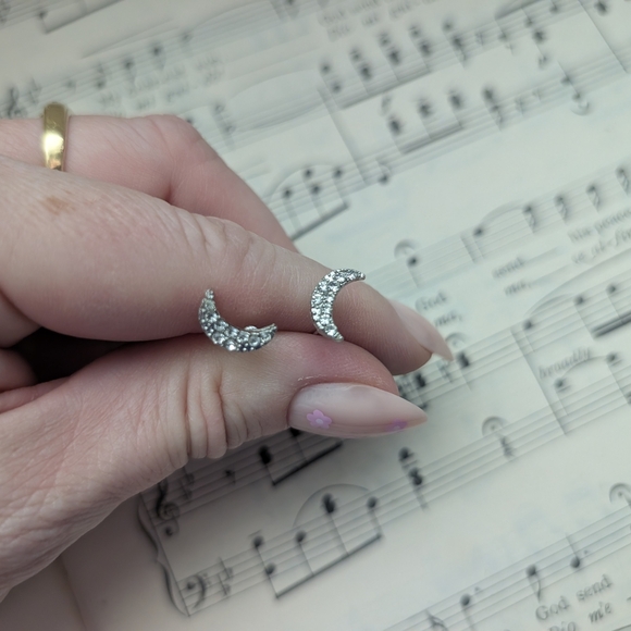 Elegant Silver Crescent Moon Earrings - Picture 1 of 7
